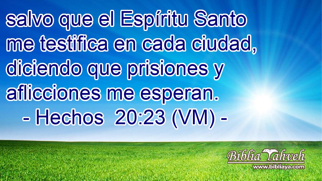  salvo que el Espíritu Santo me testifica en cada ciudad, diciendo que prisiones y aflicciones me esperan. 