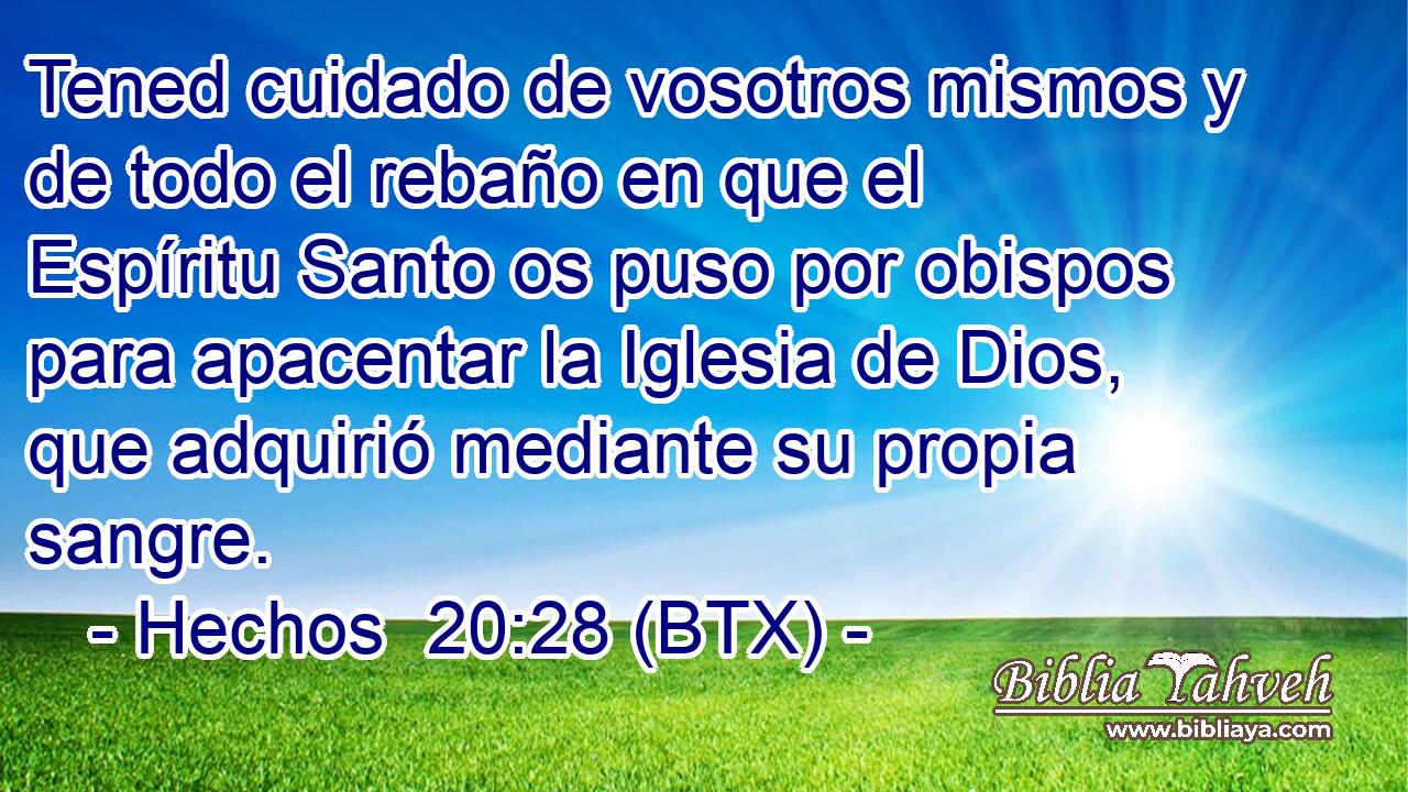 Tened cuidado de vosotros mismos y de todo el rebaño en que el Espíritu Santo os puso por obispos para apacentar la Iglesia de Dios, que adquirió mediante su propia sangre.