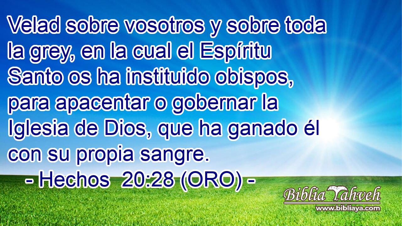  Velad sobre vosotros y sobre toda la grey, en la cual el Espíritu Santo os ha instituido obispos, para apacentar o gobernar la Iglesia de Dios, que ha ganado él con su propia sangre. 
