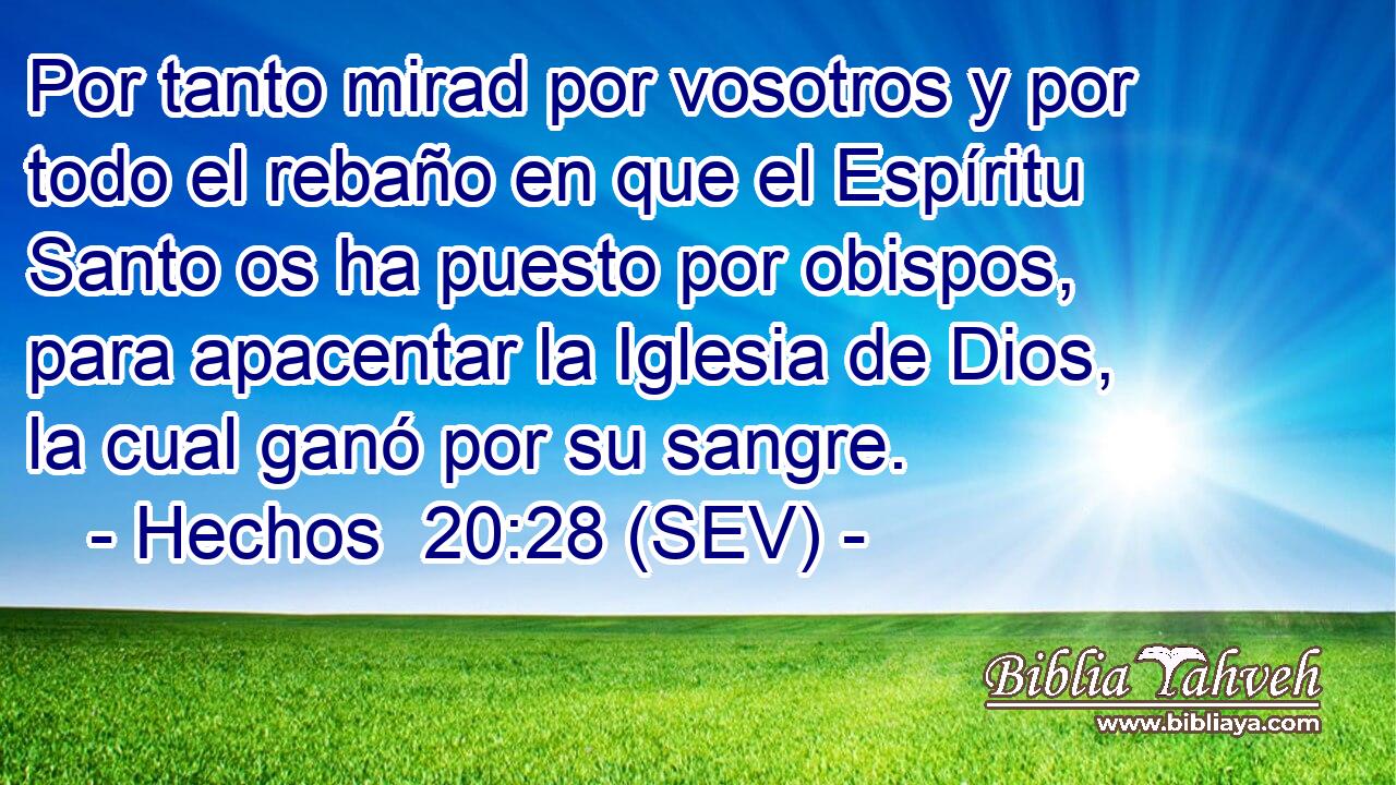 Por tanto mirad por vosotros y por todo el rebaño en que el Espíritu Santo os ha puesto por obispos, para apacentar la Iglesia de Dios, la cual ganó por su sangre.