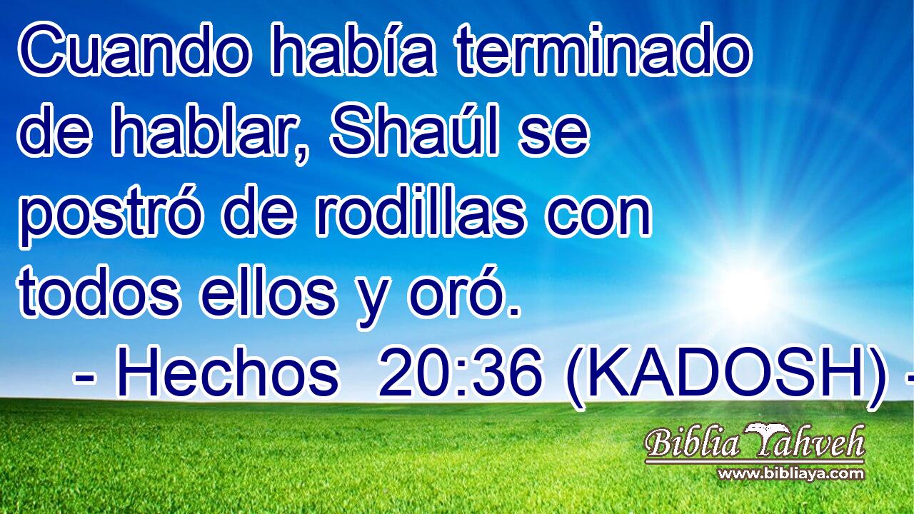  Cuando había terminado de hablar, Shaúl se postró de rodillas con todos ellos y oró. 