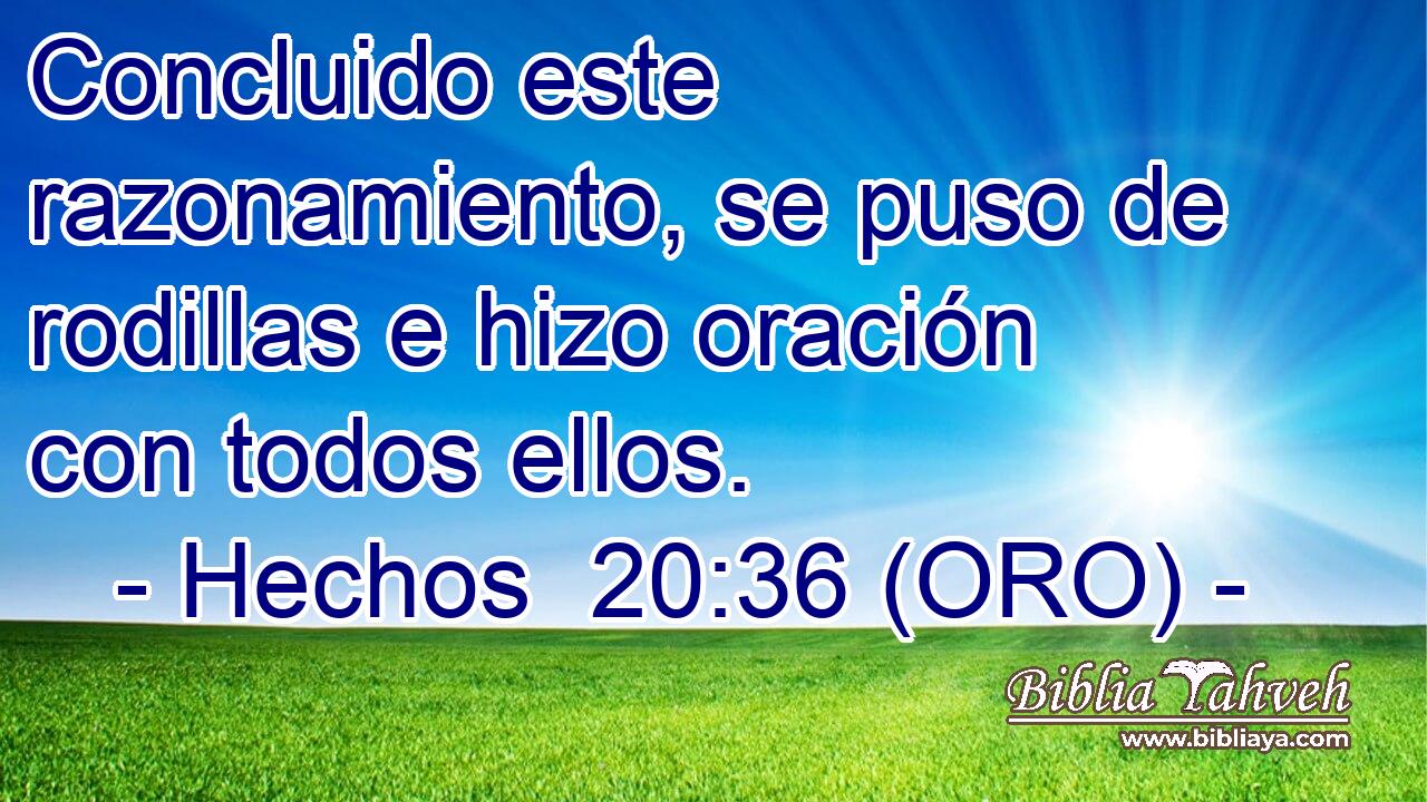  Concluido este razonamiento, se puso de rodillas e hizo oración con todos ellos. 