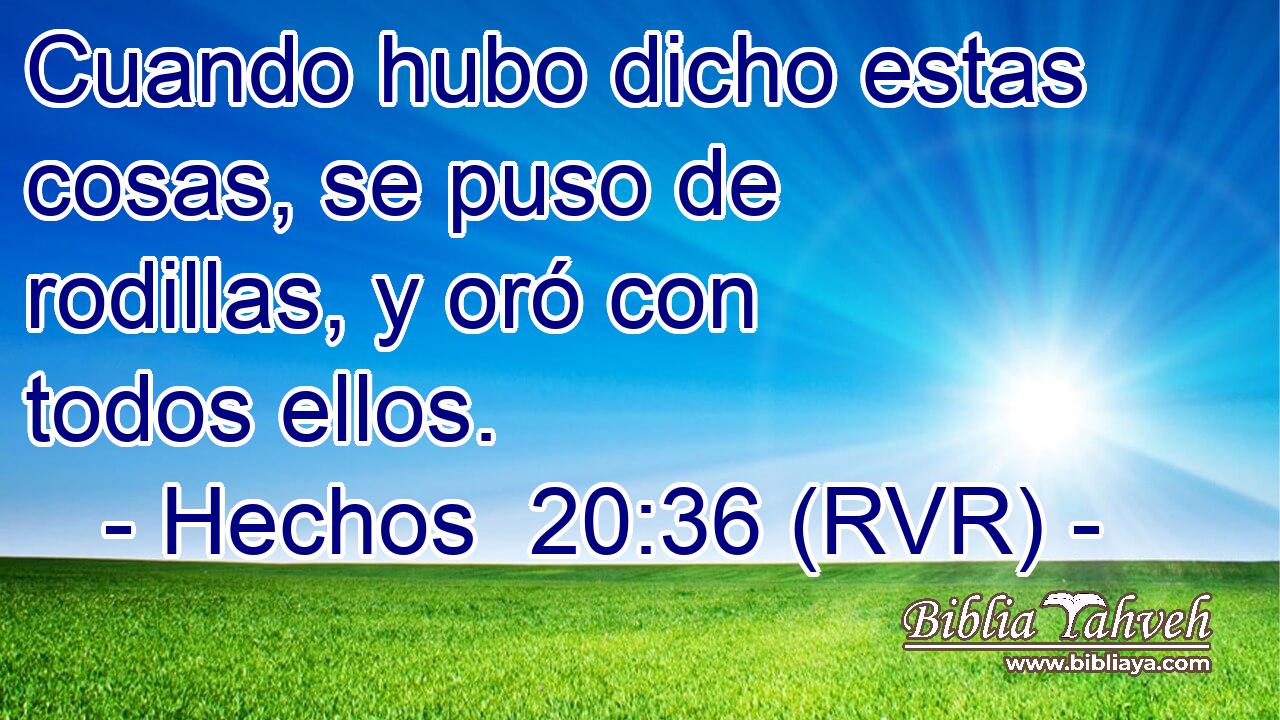 Cuando hubo dicho estas cosas, se puso de rodillas, y oró con todos ellos.