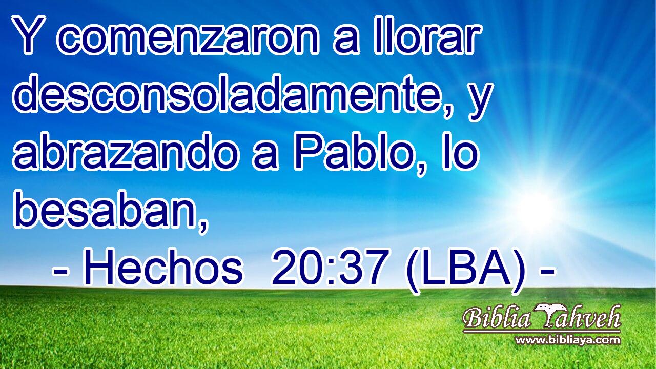 Y comenzaron a llorar desconsoladamente, y abrazando a Pablo, lo besaban,