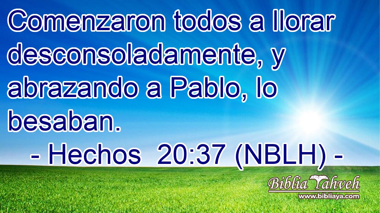 Comenzaron todos a llorar desconsoladamente, y abrazando a Pablo, lo besaban. 