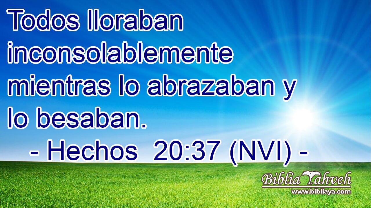  Todos lloraban inconsolablemente mientras lo abrazaban y lo besaban. 
