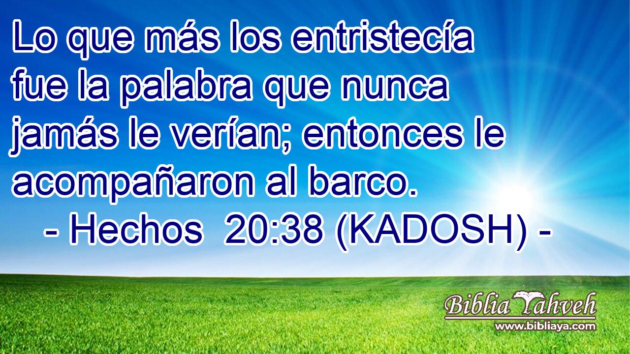  Lo que más los entristecía fue la palabra que nunca jamás le verían; entonces le acompañaron al barco. 