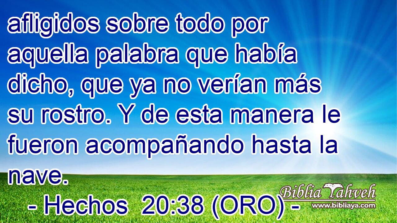  afligidos sobre todo por aquella palabra que había dicho, que ya no verían más su rostro. Y de esta manera le fueron acompañando hasta la nave. 