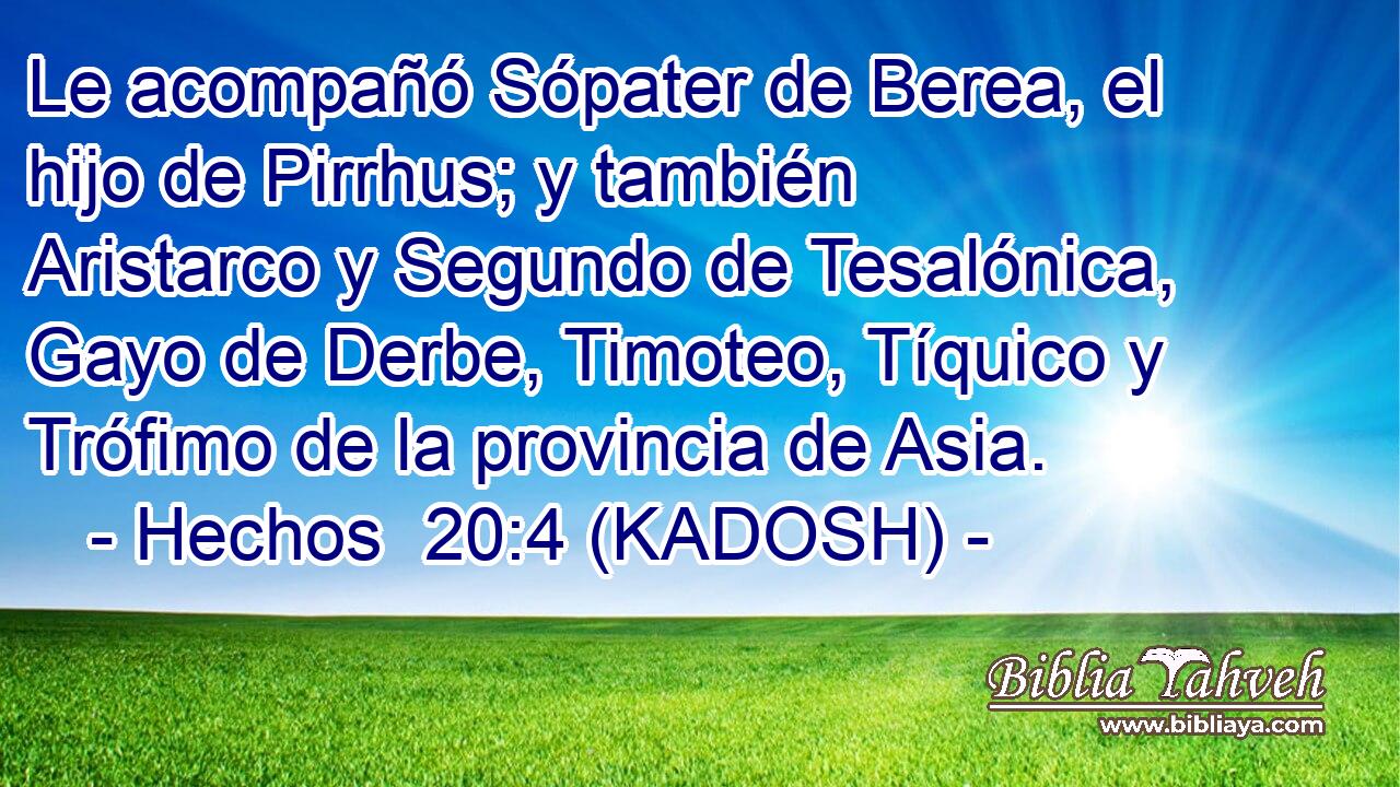  Le acompañó Sópater de Berea, el hijo de Pirrhus; y también Aristarco y Segundo de Tesalónica, Gayo de Derbe, Timoteo, Tíquico y Trófimo de la provincia de Asia. 