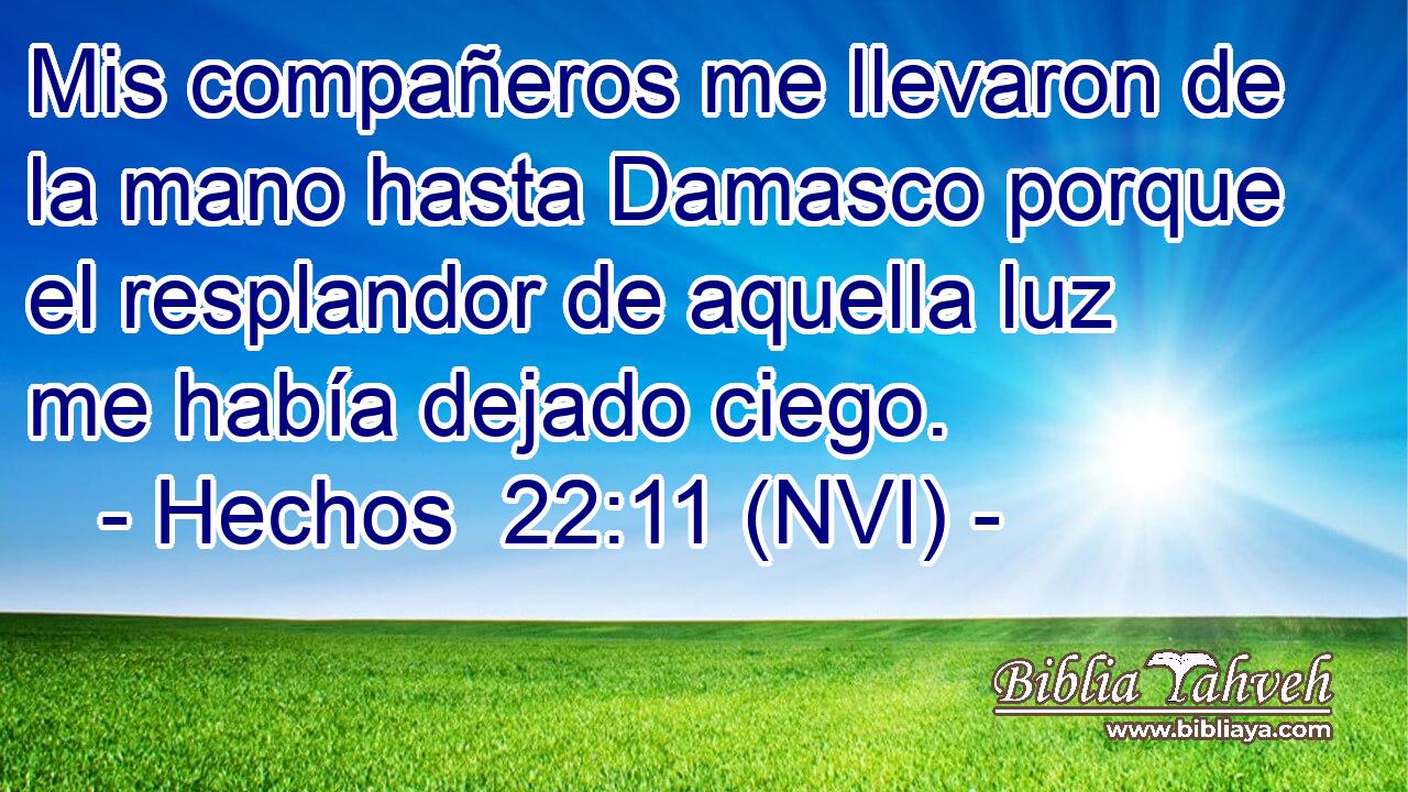  Mis compañeros me llevaron de la mano hasta Damasco porque el resplandor de aquella luz me había dejado ciego. 