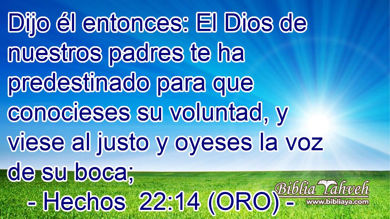  Dijo él entonces: El Dios de nuestros padres te ha predestinado para que conocieses su voluntad, y viese al justo y oyeses la voz de su boca; 