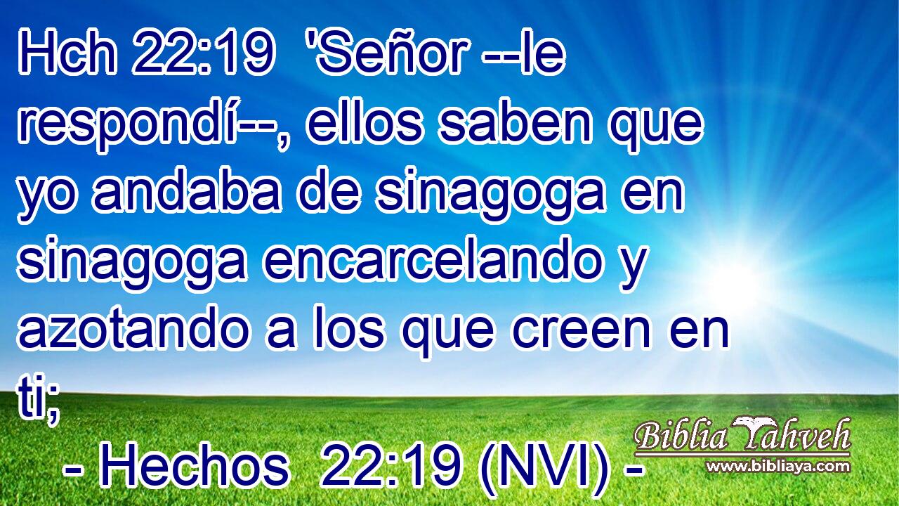 Hch 22:19  'Señor --le respondí--, ellos saben que yo andaba de sinagoga en sinagoga encarcelando y azotando a los que creen en ti; 
