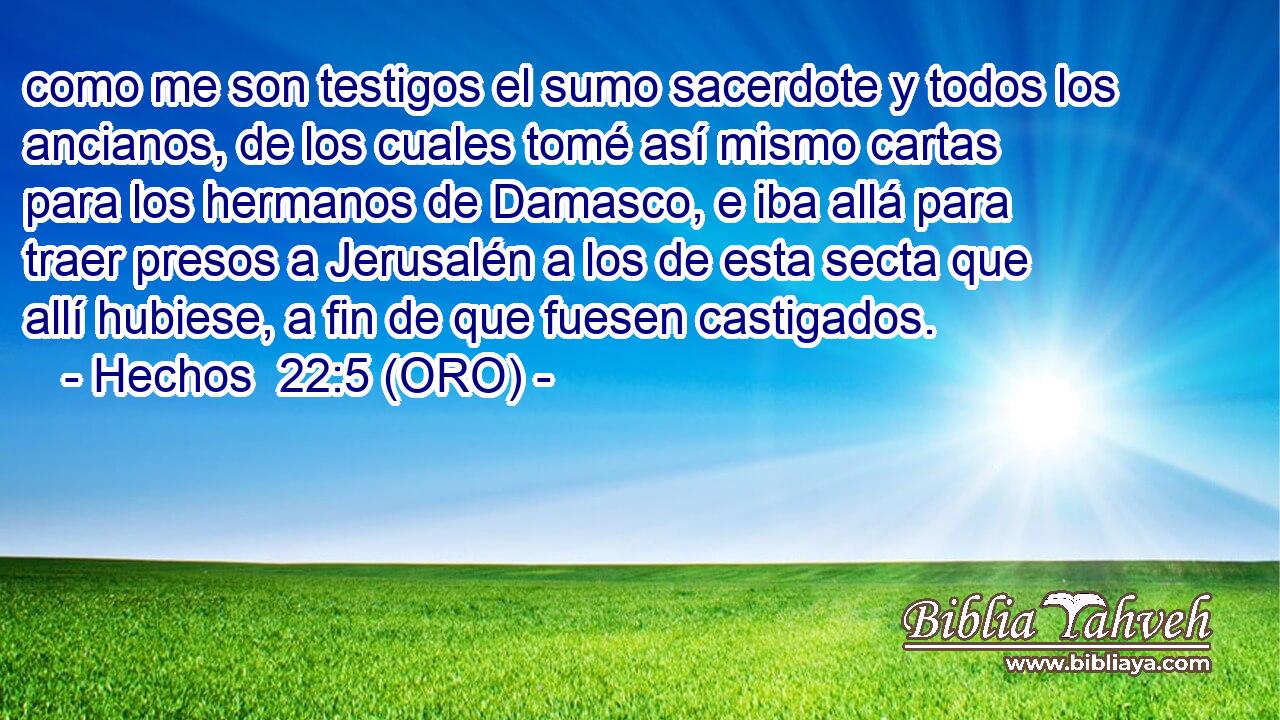  como me son testigos el sumo sacerdote y todos los ancianos, de los cuales tomé así mismo cartas para los hermanos de Damasco, e iba allá para traer presos a Jerusalén a los de esta secta que allí hubiese, a fin de que fuesen castigados. 
