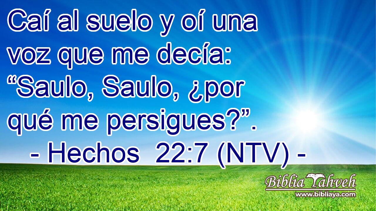Caí al suelo y oí una voz que me decía: “Saulo, Saulo, ¿por qué me persigues?”.