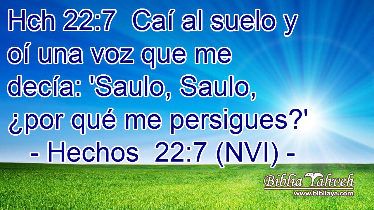 Hch 22:7  Caí al suelo y oí una voz que me decía: 'Saulo, Saulo, ¿por qué me persigues?' 