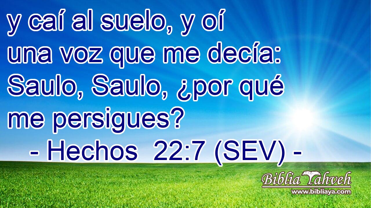 y caí al suelo, y oí una voz que me decía: Saulo, Saulo, ¿por qué me persigues?