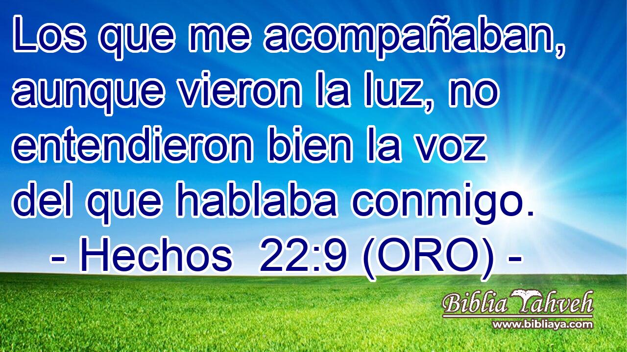  Los que me acompañaban, aunque vieron la luz, no entendieron bien la voz del que hablaba conmigo. 