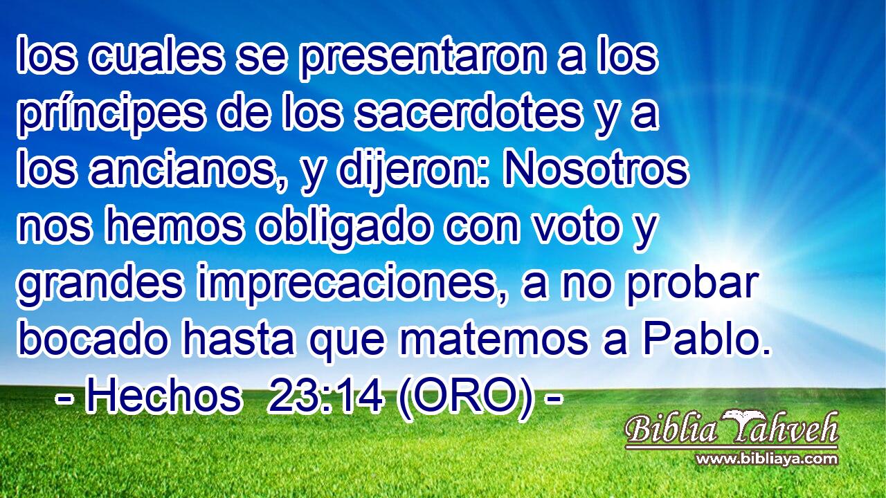  los cuales se presentaron a los príncipes de los sacerdotes y a los ancianos, y dijeron: Nosotros nos hemos obligado con voto y grandes imprecaciones, a no probar bocado hasta que matemos a Pablo. 