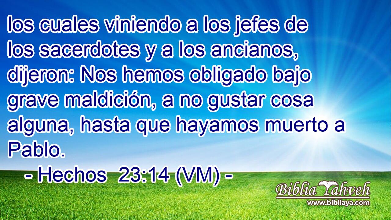  los cuales viniendo a los jefes de los sacerdotes y a los ancianos, dijeron: Nos hemos obligado bajo grave maldición, a no gustar cosa alguna, hasta que hayamos muerto a Pablo. 