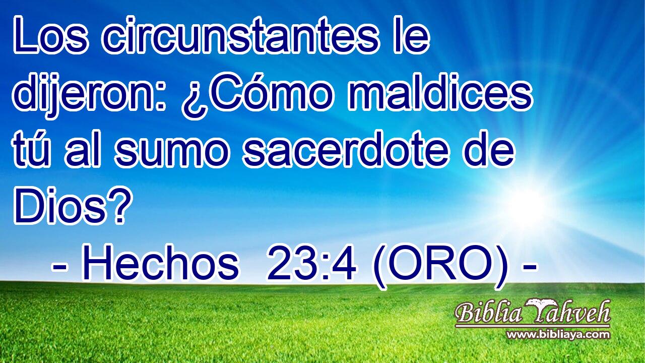  Los circunstantes le dijeron: ¿Cómo maldices tú al sumo sacerdote de Dios? 
