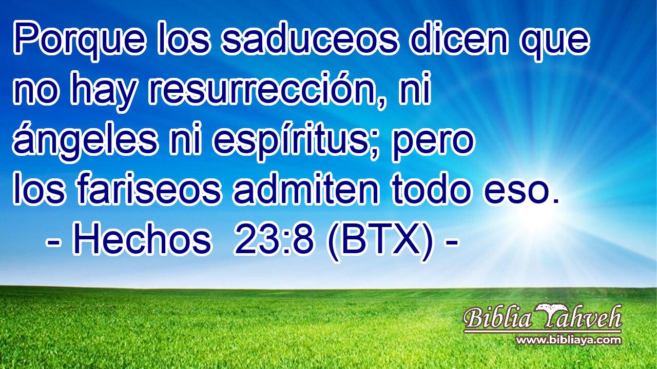 Porque los saduceos dicen que no hay resurrección, ni ángeles ni espíritus; pero los fariseos admiten todo eso.