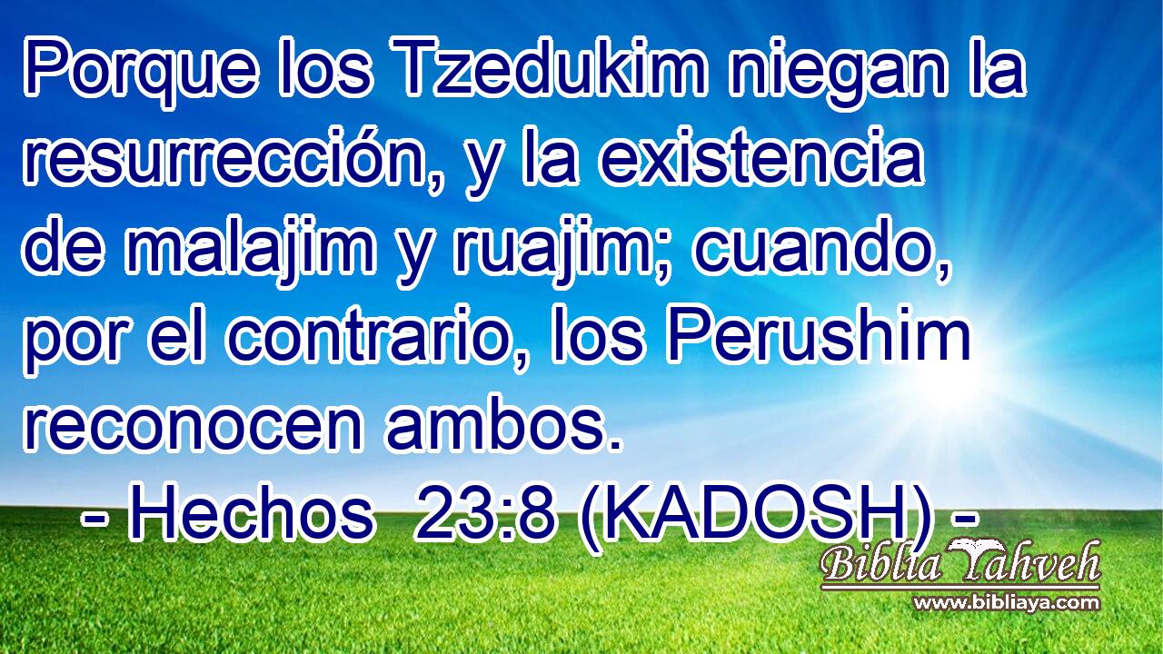  Porque los Tzedukim niegan la resurrección, y la existencia de malajim y ruajim; cuando, por el contrario, los Perushim reconocen ambos. 