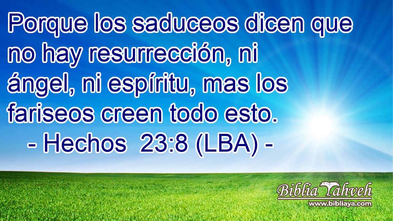 Porque los saduceos dicen que no hay resurrección, ni ángel, ni espíritu, mas los fariseos creen todo esto.