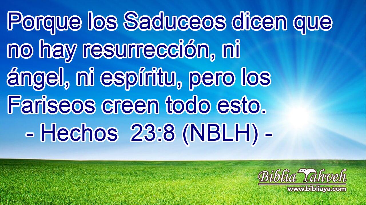  Porque los Saduceos dicen que no hay resurrección, ni ángel, ni espíritu, pero los Fariseos creen todo esto. 