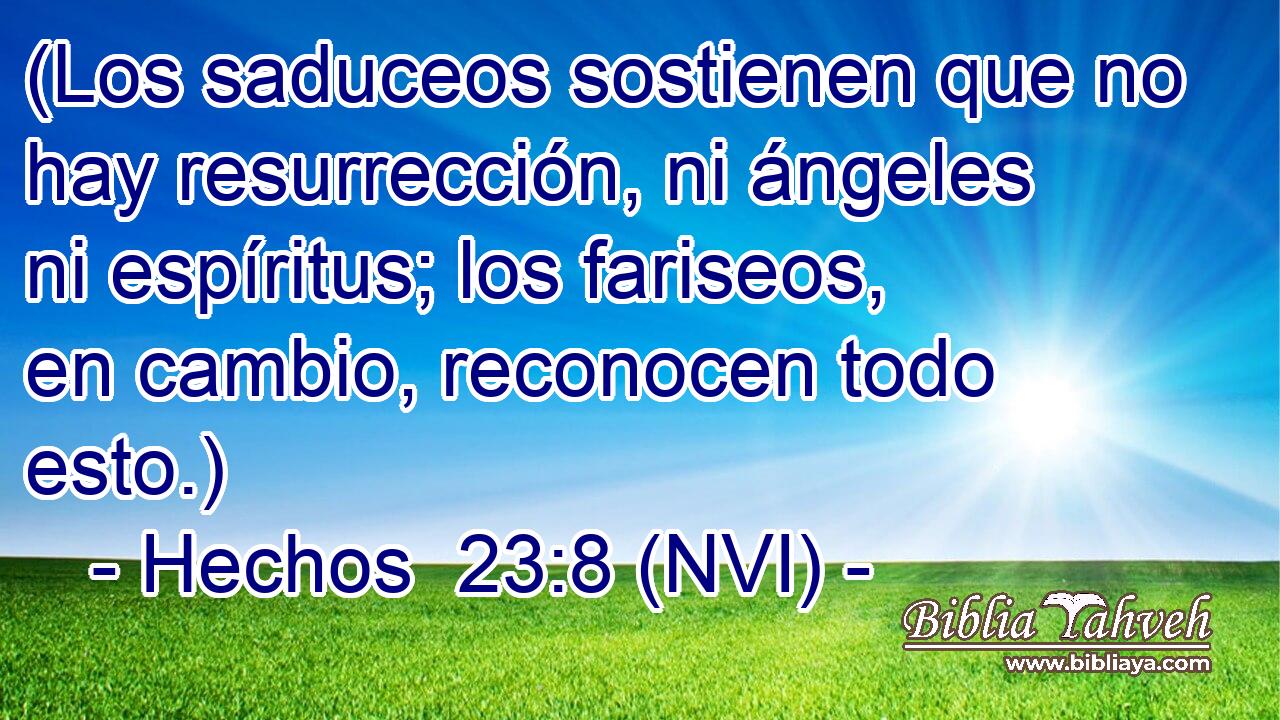  (Los saduceos sostienen que no hay resurrección, ni ángeles ni espíritus; los fariseos, en cambio, reconocen todo esto.) 