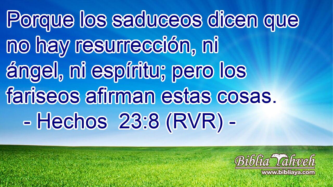 Porque los saduceos dicen que no hay resurrección, ni ángel, ni espíritu; pero los fariseos afirman estas cosas.