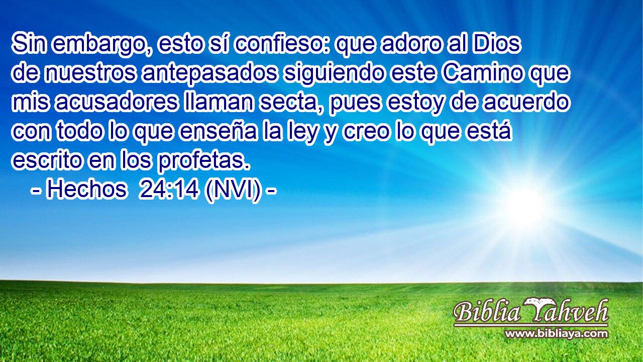  Sin embargo, esto sí confieso: que adoro al Dios de nuestros antepasados siguiendo este Camino que mis acusadores llaman secta, pues estoy de acuerdo con todo lo que enseña la ley y creo lo que está escrito en los profetas. 