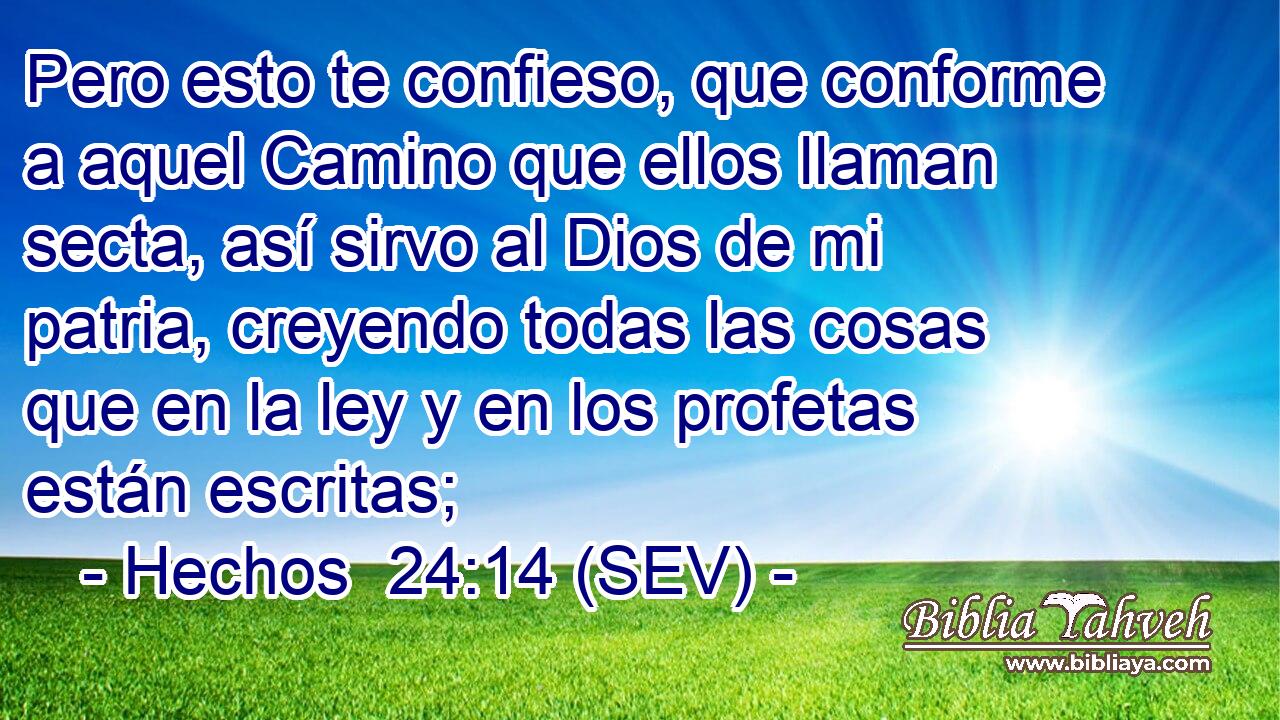 Pero esto te confieso, que conforme a aquel Camino que ellos llaman secta, así sirvo al Dios de mi patria, creyendo todas las cosas que en la ley y en los profetas están escritas;