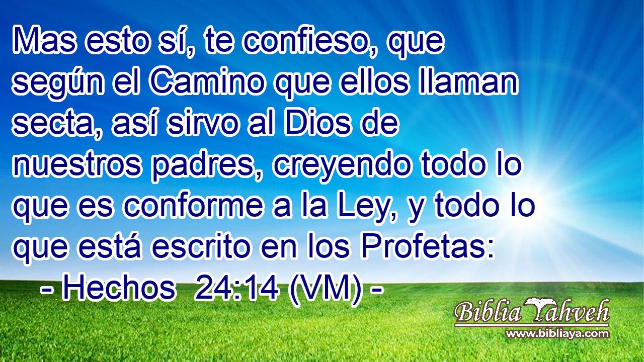  Mas esto sí, te confieso, que según el Camino que ellos llaman secta, así sirvo al Dios de nuestros padres, creyendo todo lo que es conforme a la Ley, y todo lo que está escrito en los Profetas: 