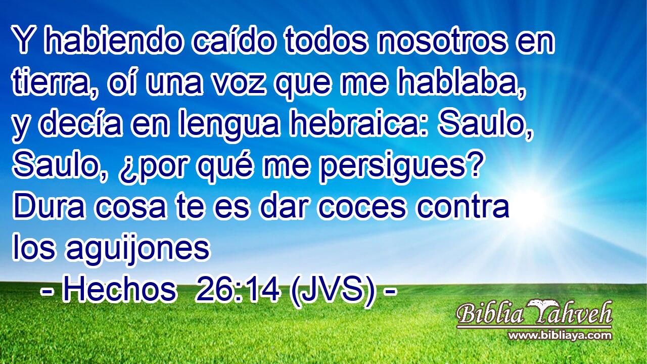 Y habiendo caído todos nosotros en tierra, oí una voz que me hablaba, y decía en lengua hebraica: Saulo, Saulo, ¿por qué me persigues? Dura cosa te es dar coces contra los aguijones
