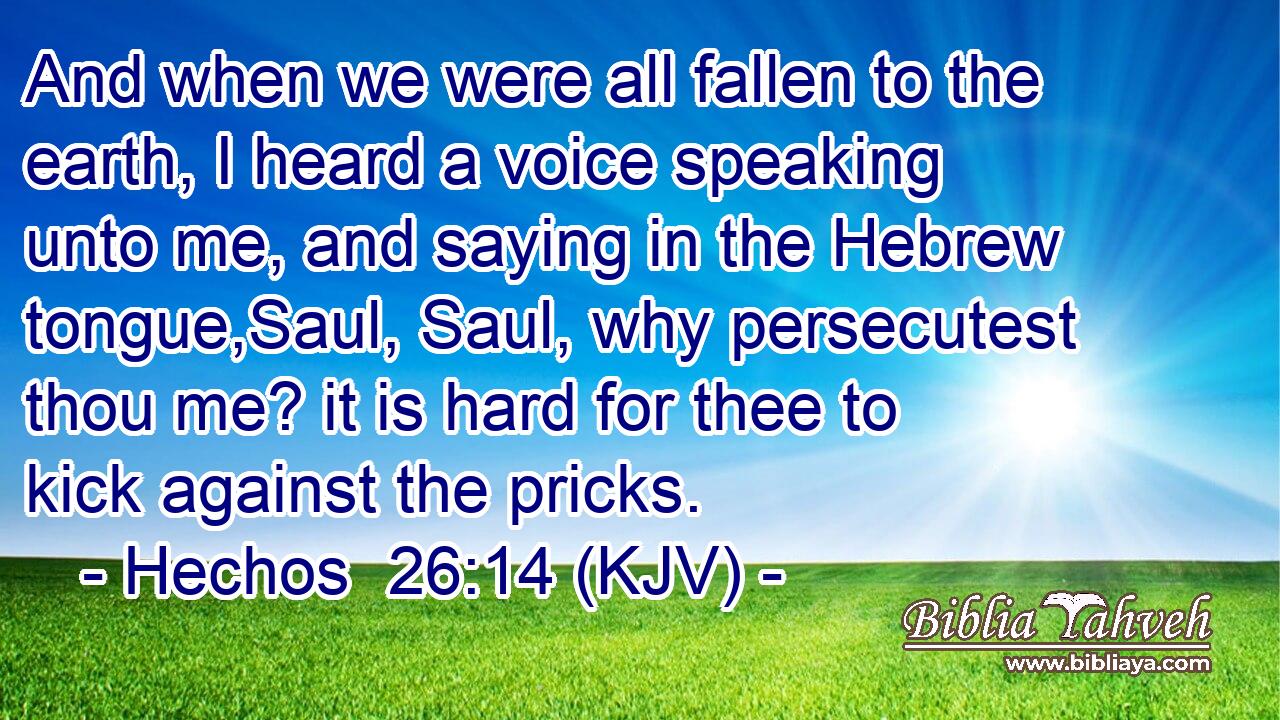 And when we were all fallen to the earth, I heard a voice speaking unto me, and saying in the Hebrew tongue,Saul, Saul, why persecutest thou me? it is hard for thee to kick against the pricks.