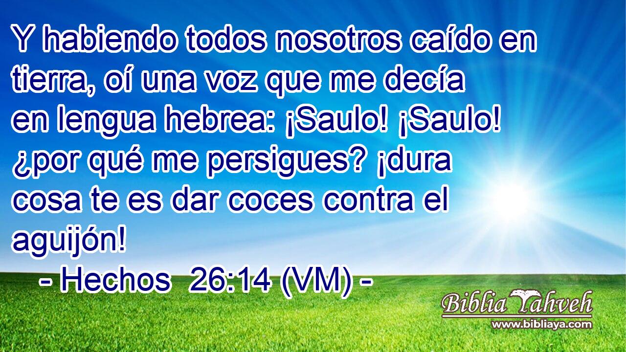  Y habiendo todos nosotros caído en tierra, oí una voz que me decía en lengua hebrea: ¡Saulo! ¡Saulo! ¿por qué me persigues? ¡dura cosa te es dar coces contra el aguijón! 
