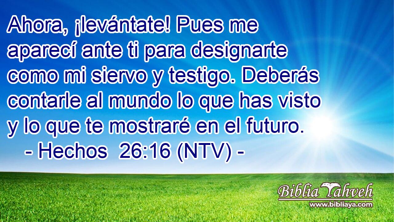 Ahora, ¡levántate! Pues me aparecí ante ti para designarte como mi siervo y testigo. Deberás contarle al mundo lo que has visto y lo que te mostraré en el futuro.