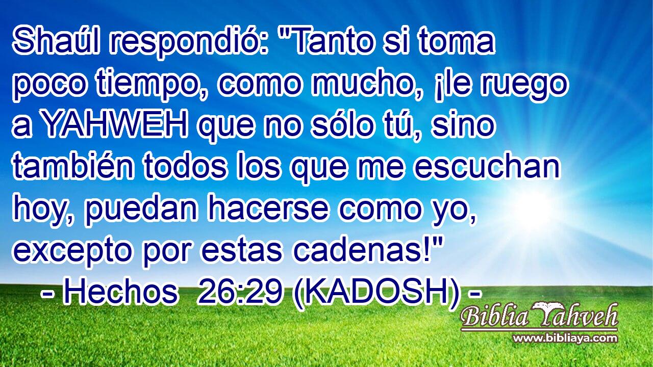 Shaúl respondió: 