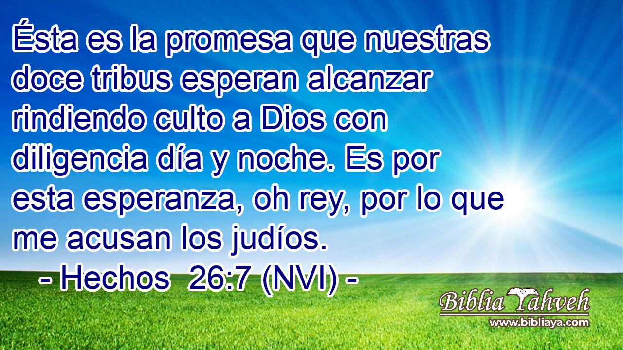  Ésta es la promesa que nuestras doce tribus esperan alcanzar rindiendo culto a Dios con diligencia día y noche. Es por esta esperanza, oh rey, por lo que me acusan los judíos. 