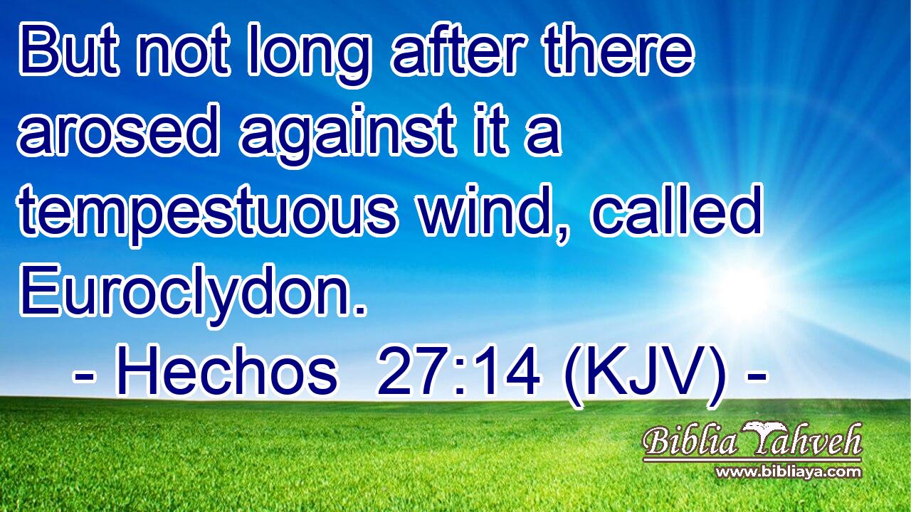 But not long after there arosed against it a tempestuous wind, called Euroclydon.