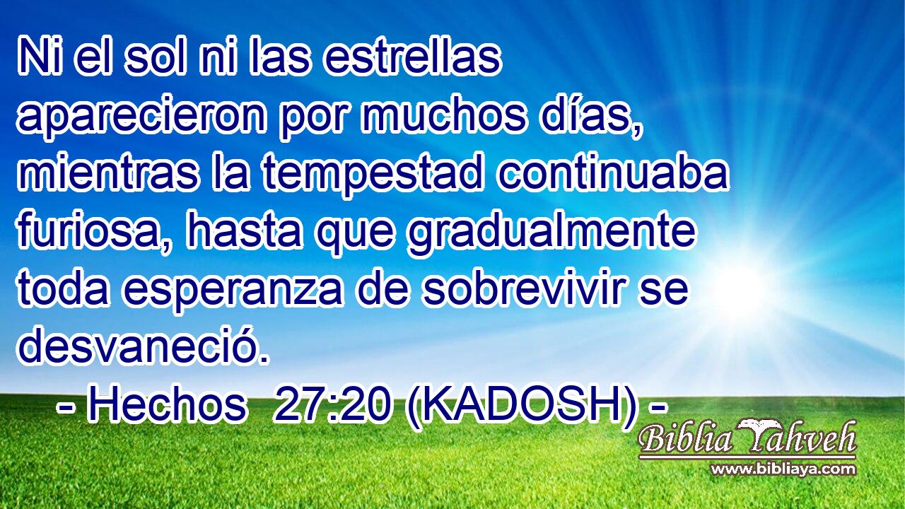  Ni el sol ni las estrellas aparecieron por muchos días, mientras la tempestad continuaba furiosa, hasta que gradualmente toda esperanza de sobrevivir se desvaneció. 