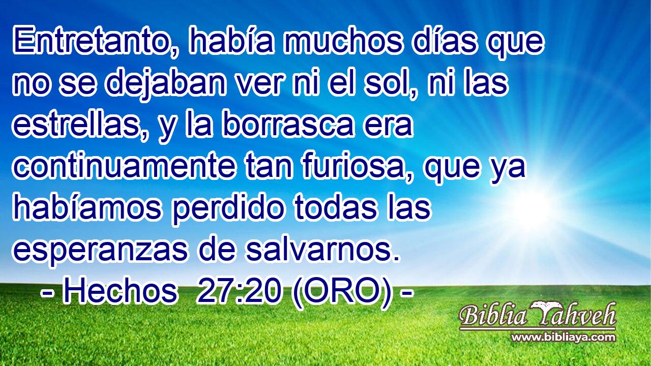  Entretanto, había muchos días que no se dejaban ver ni el sol, ni las estrellas, y la borrasca era continuamente tan furiosa, que ya habíamos perdido todas las esperanzas de salvarnos. 