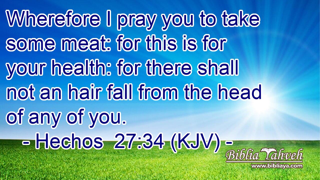 Wherefore I pray you to take some meat: for this is for your health: for there shall not an hair fall from the head of any of you.