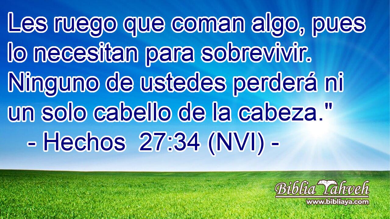 Les ruego que coman algo, pues lo necesitan para sobrevivir. Ninguno de ustedes perderá ni un solo cabello de la cabeza.