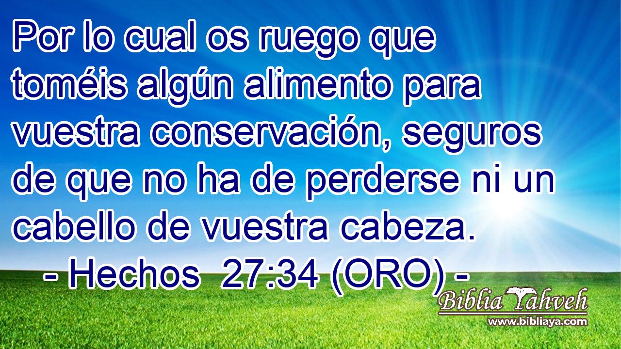  Por lo cual os ruego que toméis algún alimento para vuestra conservación, seguros de que no ha de perderse ni un cabello de vuestra cabeza. 