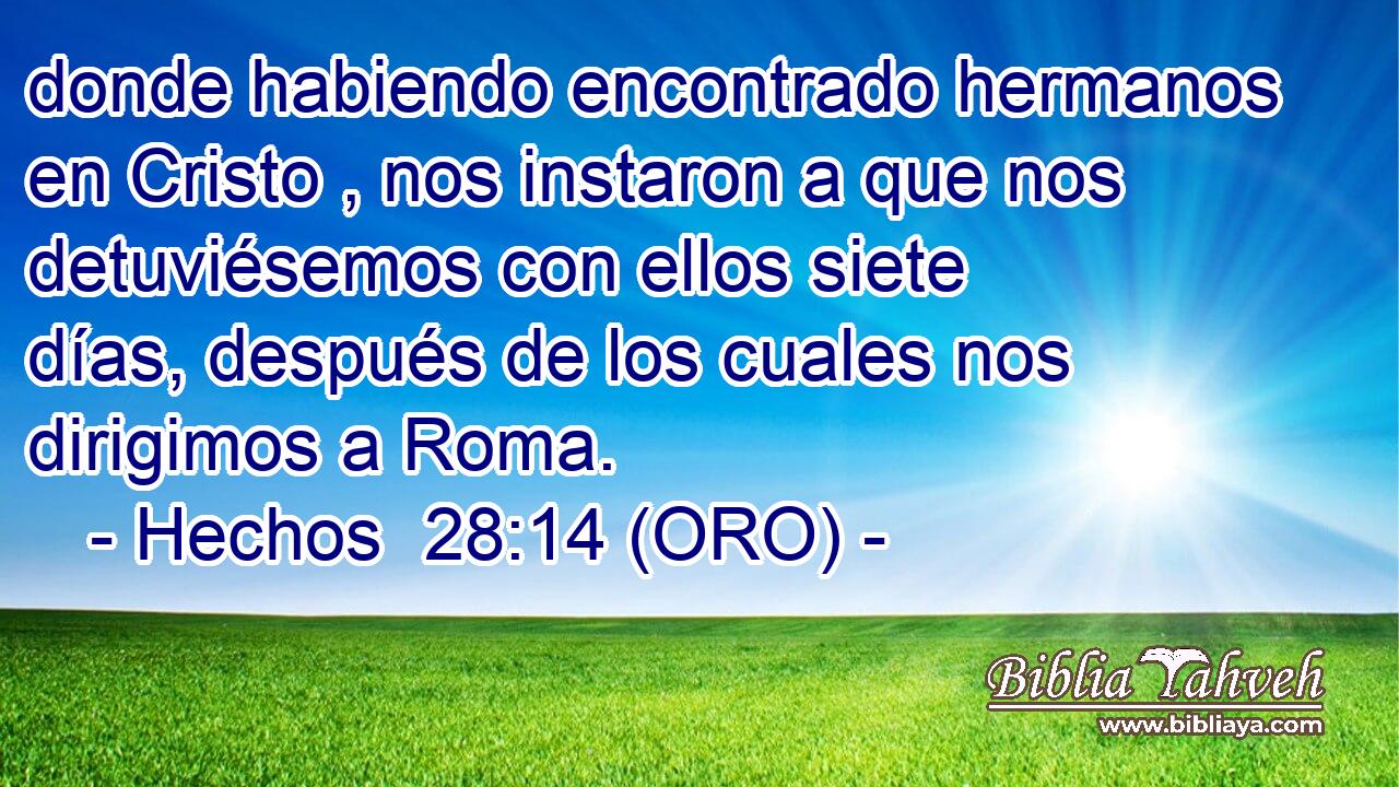  donde habiendo encontrado hermanos en Cristo , nos instaron a que nos detuviésemos con ellos siete días, después de los cuales nos dirigimos a Roma. 