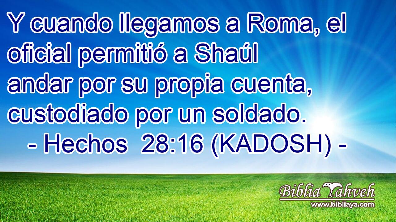  Y cuando llegamos a Roma, el oficial permitió a Shaúl andar por su propia cuenta, custodiado por un soldado. 