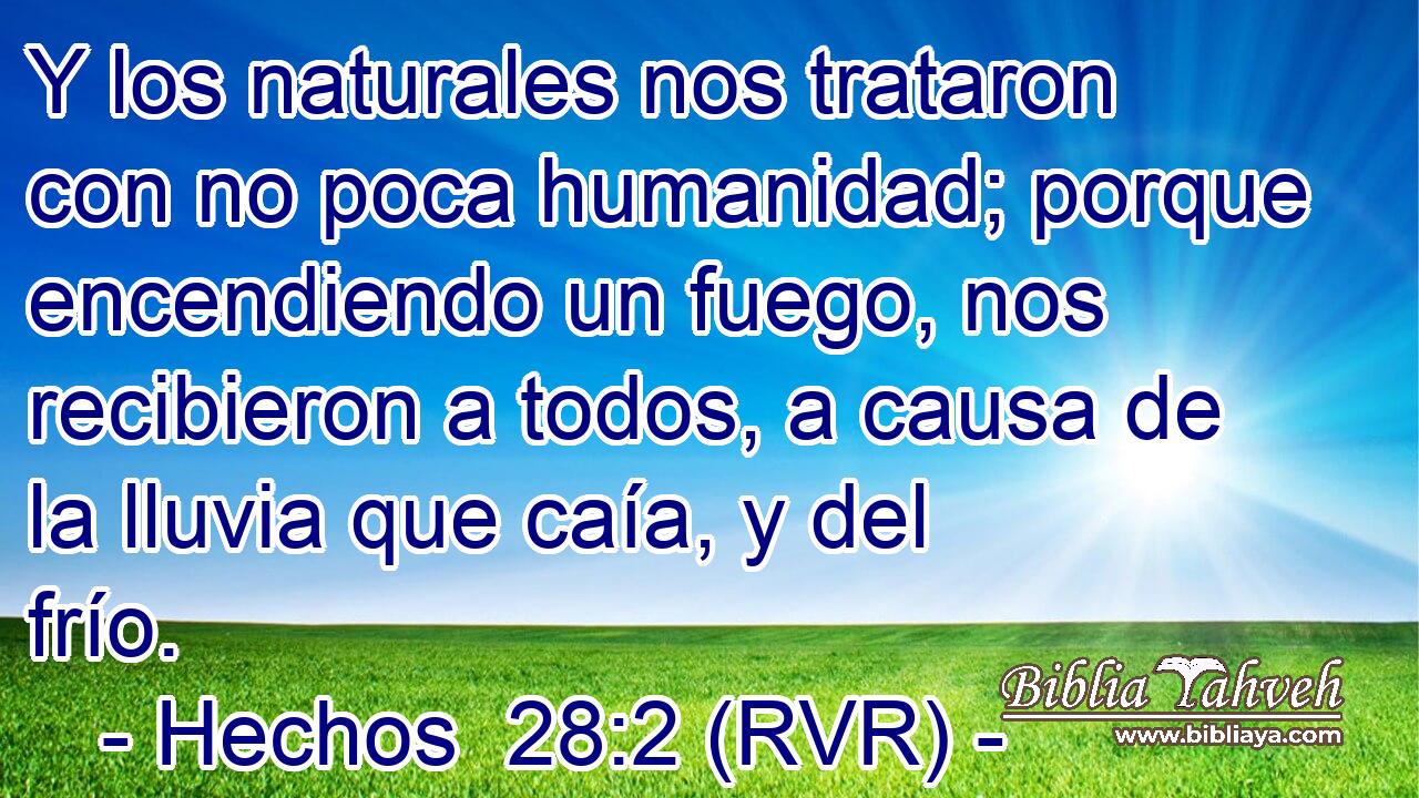 Y los naturales nos trataron con no poca humanidad; porque encendiendo un fuego, nos recibieron a todos, a causa de la lluvia que caía, y del frío.