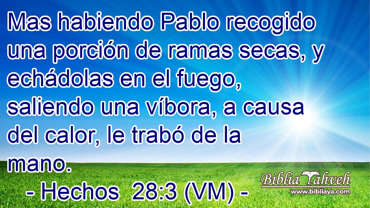  Mas habiendo Pablo recogido una porción de ramas secas, y echádolas en el fuego, saliendo una víbora, a causa del calor, le trabó de la mano. 