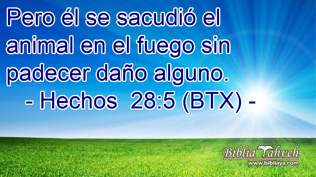 Pero él se sacudió el animal en el fuego sin padecer daño alguno.
